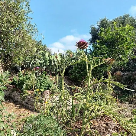 Aphrodite's Hidden Gem On Paxos Island Velianitátika
