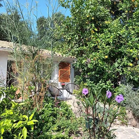 Aphrodite's Hidden Gem On Paxos Island Velianitatika