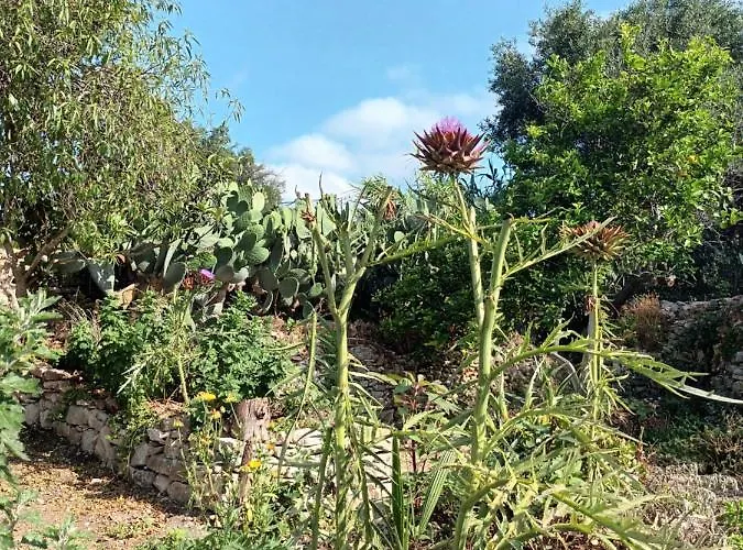 Aphrodite's Hidden Gem On Paxos Island Velianitátika