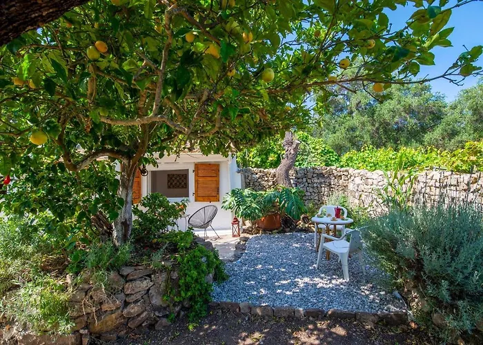 Aphrodite's Hidden Gem On Paxos Island 度假居